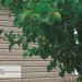 Сайдинг Ю-Пласт TIMBERBLOCK Пихта (Тимберблок) Cахалинская купить в Бугуруслане